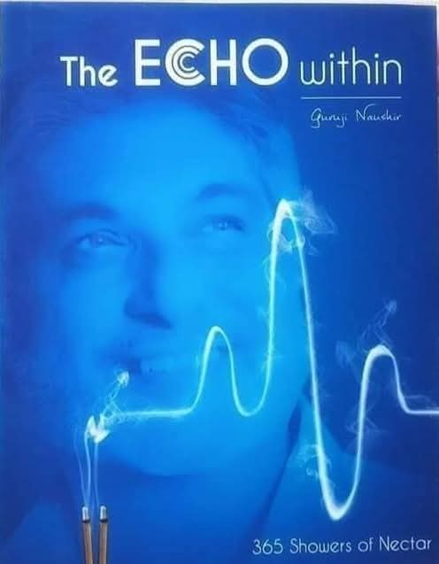 Cover of The Echo Within by Guruji Naushir
